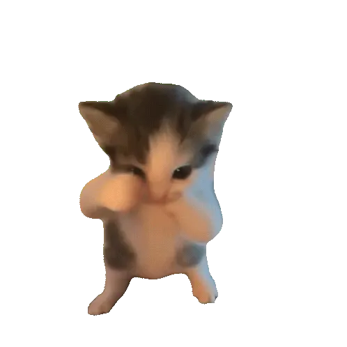 scuba